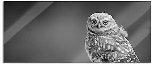 Pixxprint Glasbild Panorama, Wandbild aus Echtglas, süße Eule auf Ast, 120x50 cm, inkl. Aufhängung und Abstandshalter