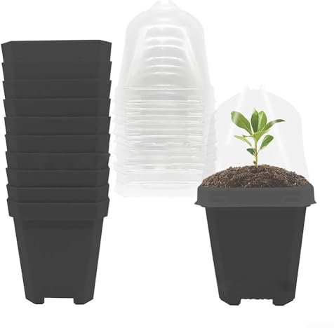 Lioaeust Macetas de vivero, 10 macetas pequeñas cuadradas de plástico para plantas suculentas (15,5 cm, negro)