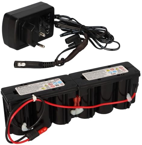 Hawker Cyclon 0819-0017 Monoblock 12V 2,5Ah Bleiakku mit Stecker + Ladegerät für Rasenmäher Akkus