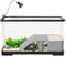 Zstar SchildkröTenbecken, Aquarium Mit Badelicht, Sonnenplattform, Wasserpflanzen, Transparentes Reptilienbecken Offene Landschaftsbau Brutbox für SchildkröTen,Fisch, 40 x 22 x 23cm