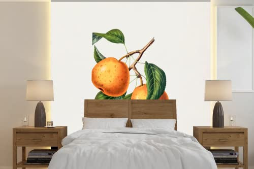 MuchoWow Papier peint Fruit - Orange - Vintage Papier peint photo 220x220 cm Papier peint imprimé