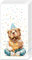 IHR Ideal Home Range - Taschentücher Happy Teddy, 1 Packung mit 10 einzelnen 4-lagigen Taschentüchern, 21 cm x 21 cm