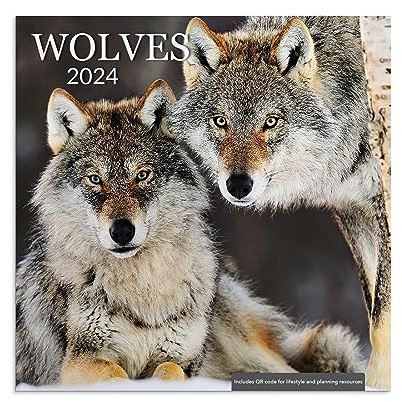 Wolves 2024 Wall Calendar