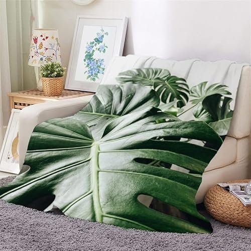 Kuscheldecke Flauschig Decke 220x240 Pflanze Warm Flanell Fleecedecke Grüne Monstera für Sofa und Bett, Weich Gemütlich Wohndecke als Couchdecke Tagesdecke Kniedecke