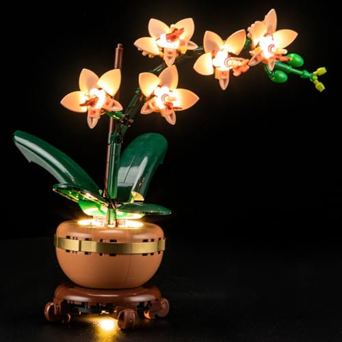 LIGHTAILING Set di Luci per Lego-10343 Mini-Orchidea Modello - Kit d'Éclairage LED Compatible avec les Modèles de Blocs de Construction Lego - Modèle Non Inclus