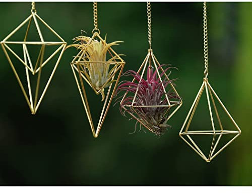 ZOOELAY 4Pcs Hanging Metal Air Plant Holder with Chain Mini 2 Style Tillandsia Geomitric Airplants Hanger Air Fern Cage Decor for Home and Office