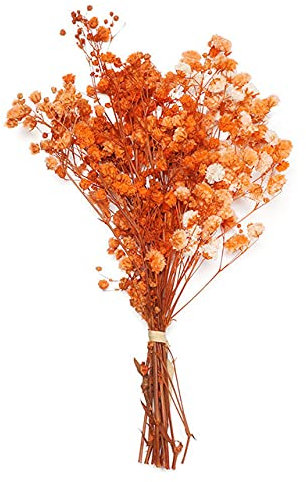 LIJUCAI 1 Mazzo Mini Fiori Secchi Naturali Fiori Freschi Conservati Bouquet Decorativo Fotografia Foto Sfondo Decor,arancione(12,15CM)
