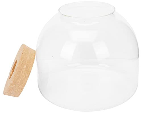 1 Juego Botella Ecológica Micro Paisaje Caja De Terrario De Vidrio Tarro De Terrario Vaso De Agua Musgo De Terrario Plantas Acuáticas Botella De Vidrio Flor Preservada De Madera