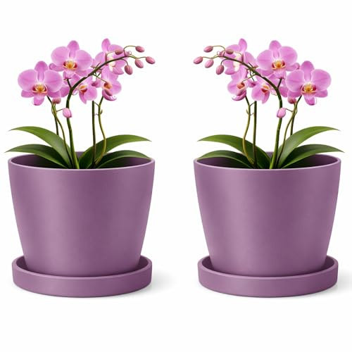 PECZEKO Macetero mate, macetero de plástico, maceta decorativa para plantas grandes y pequeñas, juego de 2 macetas con plato, macetero para hierbas, lila, diámetro de 12 cm