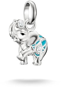 THOMAS SABO Connect Charm Anhänger Good Luck Rodeo Kollektion aus 925 Sterling Silber