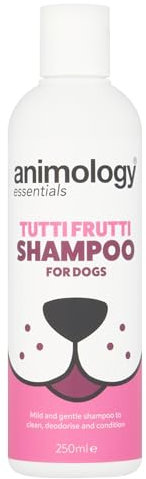 Animology Dapper Dog Desodoring Shampoo - Tutti Frutti Duftshampoo für Hunde - 250 ml Hundeshampoo mit integriertem Conditioner - für alle Felltypen geeignet