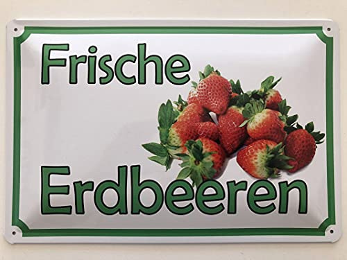 Metall Schild 20x30cm Frische Erdbeeren Blechschild