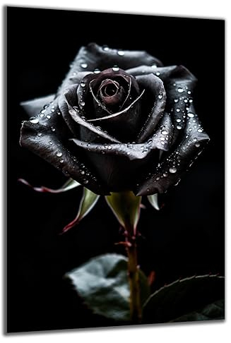 DARO Design - Wand-Bild auf 6mm HDF 70x50 cm schwarze Rose - Wand-Deko Bilder Geschenk