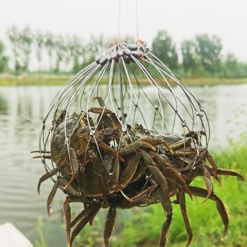 Automatic Opening & Closing Fishing Net Cage | Steel Wire Crab Net | Crab Traps for Crabbing | Steel Wire Fishing Net Bait Shrimp Cage | Fishing Accessories