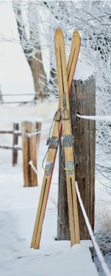 XXL Polyester Deko Banner für Fenster & Wand - Winter & Weihnachts Motive - Sichtschutz & Dekoration Innen/Außen (Skier, 75 cm x 180 cm)