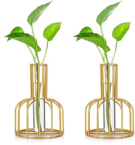 2 Stück Mini Vasen Set Glas Vase Gold Kleine Vasen Für Tischdeko Blumenvase Modern Bud Hydroponic Glasvase Reagenzgläser Für Blumen Hochzeit Wohnzimmer Deko Tablett Tisch Bad Dekoration