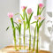 Jarrón de flores con bisagras, jarrones de ensayo creativos, jarrón de cristal transparente con bisagras, decoración de mesa de boda, plantas, decoración del hogar