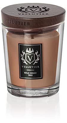 Vellutier Duftkerze Wild Cedar Tree, Kerze im Glas, Spezialrezeptur aus Samtigen Wachs, Verpackt in Hochwertigem Glas mit einem Holzdeckel, Zitrus- und Zedernholz-Aroma, 11,5 x 9 cm, Mittel, 225g