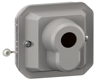 LEGRAND, Plexo New 069706L Interrupteur à clé DIN demi-cylindre 2 positions IP 20 - IK 07 Gris
