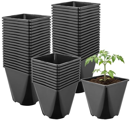 Garronda Pot de Fleur Carré Arrondi Plastique 14 × H 14 cm (2L) Lot 50 Godets Semis Pots de Pépinière Drainage Résistants Intempéries pour Culture Plantes Jardin Serre Intérieur Extérieur GD-0200
