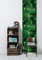 Livingwalls Klebefolie Palmen 0,52m x 2,50m grün Möbelfolie Dschungel selbstklebende Tapete Made in Germany 368441