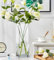 Vase en verre, vase vertical, grand vase carré transparent, adapté pour la décoration de fête de mariage, de maison, de bureau, vase décoratif en verre transparent, petit vase en verre, vase en verre