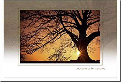 metALUm Trauerkarte ABEND | Baum im Sonnenuntergang 3300031