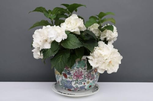Yajutang China Porzellan Blumentopf Weiß mit bunten Blumen Ø 29cm …