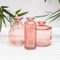 Set of 3 Rose Pink Vintage Glass Ribbed Bottle Flower Display Bud Vases