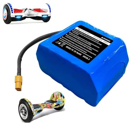 JHKJ Batterie de Remplacement pour Hoverboard 25,2 V 4 000 mAh 7S2P Rechargeable