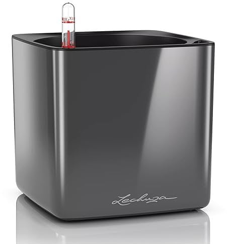 LECHUZA Cube, 16 maceta de riego automático, pequeña, maceta para interiores sin agujeros de drenaje, poliresina, H16 L17 W17 cm, color carbón brillante
