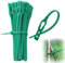 QEQSHQO 100 pièces Attaches réglables Liens de Serrage en Plastique pour Jardin Serre câbles réutilisables pour Plantes Vertes et arbustes (13cm) (vert)