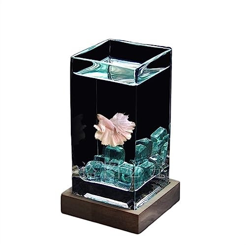 XLDZ Aquarium carré haute translucidité avec base en bois – Aquarium de bureau en verre épais pour poissons tropicaux et poissons rouges (bleu)