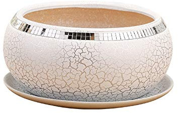 weiße Keramik-sukkulenten-pflanzgefäße für den außenbereich/Innenbereich, Kaktus-pflanztopf, blumentopf, behälter, pflanzgefäß mit ablaufloch und tablett für alle zimmerpflanzen, kräuter,