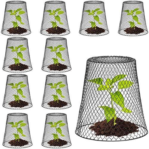 Geosar 10 Pcs 9 inch Chicken Wire Cloche Plant Protector Cover Metal Garden Cloche Dome for Plants Chicken Wire Protection Basket with Garden Stakes for Avoiding Rabbit Bird Small Animals Eat (Black)