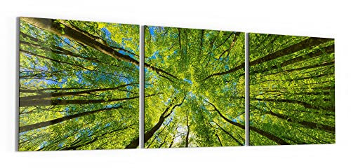 DEQORI Glasbilder Acrylglas | Motiv Blick durch Baumkronen | horizontal 3-teilig 150x50 cm | große XXL Deko | Wandbilder für Wohnzimmer, Schlafzimmer, Flur & Küche | moderne Wanddeko