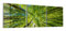 DEQORI Glasbilder Acrylglas | Motiv Blick durch Baumkronen | horizontal 3-teilig 150x50 cm | große XXL Deko | Wandbilder für Wohnzimmer, Schlafzimmer, Flur & Küche | moderne Wanddeko