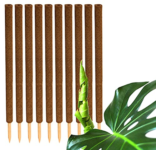 BigDean 10x Pflanzstab Kokos 110 cm Monstera Rankhilfe Rankstab Kokosstab | Stab, Moosstab, Pflanzenstab, Pflanzenstäbe, natürlicher Kokosfaser, verlängerbar (lassen sich ineinander stecken)