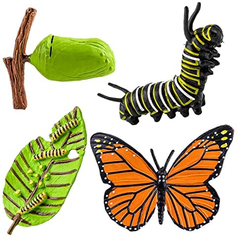Cobee Lebenszyklus Figuren von Schmetterlingen, 4 STÜCKE Tierlebens Wachstumszyklus Modell Realistische Tierfiguren Insektenerziehung Wachstumsstadium Modell Kunststoff Insektenkäfer (Schmetterling)