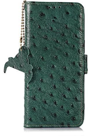 COQUE Boîtier de téléphone iPhone 14 Pro,Porte Monnaie en Cuir avec Boucle magnétique,boîtier de téléphone à l'épreuve des Chocs avec[antivol RFID][Clip de Carte de crédit] pour iPhone 14 Pro,Vert