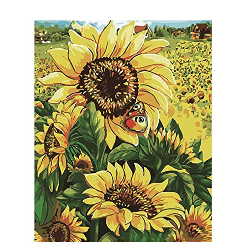 Qinzhao Malen Nach Zahlen,Paint by Numbers Sonnenblumenfeld,Malen Nach Zahlen Erwachsene Kinder Anfänger DIY Handgemalt Ölgemälde Leinwand Kits für Haus Wand Decor Kunsthandwerk,Mit Rahmen 60x75cm