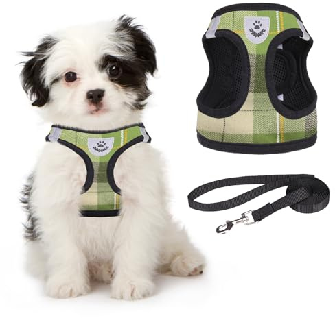 Weiches Netz-Plaid Welpengeschirr ¨C Kleines Hundegeschirr und Leine-Set, verstellbares und bequemes Geschirr mit reflektierendem Design f¨¹r Welpen und kleine Rassen, f¨¹r Outdoor-Spazierg?nge