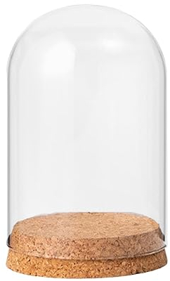 MagiDeal Couvercle de Cloche en Forme de dôme, Pot de Cloche avec Base en Bois, boîtier de décoration de dôme en Verre Transparent, dôme décoratif en Verre, 8cmx10cm