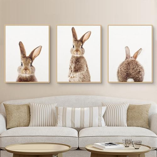 3er Premium Poster Set, Kaninchen Bilder Ohne Bilderrahmen, Moderne Wandbilder Leinwand Wandkunst, Home Deko für Schlafzimmer und Wohnzimmer (DEF,40x50cm)