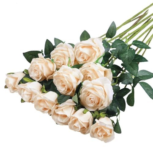 JAONLD Artificial Roses, 12 Pcs Realistic Fake Roses 20 Inch Silk Flowers Bridal Bouquets with Single Long Plastic Stem for Wedding Home Birthday Party Arrangement Garden Decoration (Champagne)
