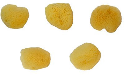 repino® Malschwamm Naturschwamm - 5er Pack - feinporig - Aquarellschamm Set