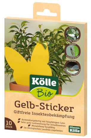 Bio Gelb-Sticker 10 Stück, gelbe Sticker beleimt in Bio-Qualität, Gelb-Sticker, biologisch, Kölle's Beste Gelb-Sticker