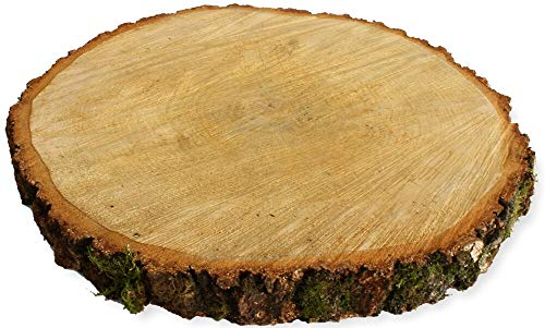 Große Holzscheibe zum Basteln oder Dekorieren - 1 Stück naturbelassene Baumscheibe aus Birkenholz mit 35 - 40 cm Durchmesser - runde Holz Birkenscheibe als Deko Holzplatte Holzdeko