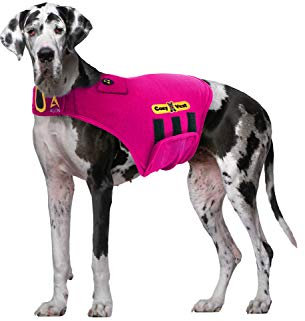 CozyVest 3-in-1-Weste mit Angstzustände, Musik und Aromatherapie, Hundemantel, entspannender Klang und ätherischer Öle, zum Stressabbau, Feuerwerk, Donner-Trennung, Jacke, Rosa, XXL [50 kg und UP]