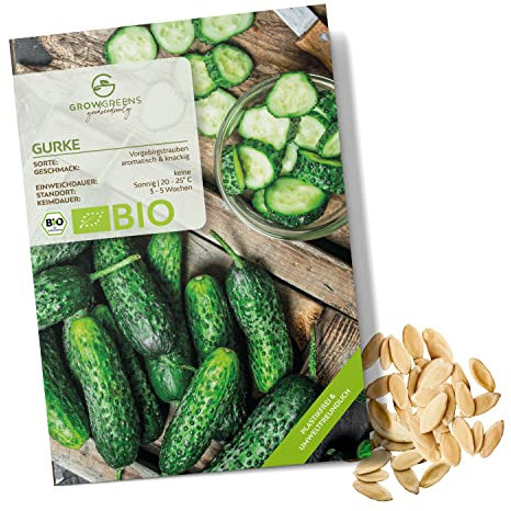 BIO Gurken Samen (Vorgebirgstraube, 10 Korn) - Einlegegurken Saatgut aus biologischem Anbau ideal für die Anzucht im Garten, Balkon oder Terrasse